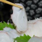 fu.... налог . часть блок осьминог sashimi ( рефрижератор )200g×2 упаковка [47]