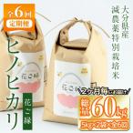 <定期便全6回 >減農薬特別栽培米