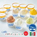 Gigiのイタリアンジェラート6種12個入りアソートセット