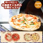 定期便:全2回 チェルボの石窯ピッツァ