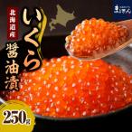 ふるさと納税 えりも町 えりも【マルデン特製】北海道産いくら醤油漬250g【er002-006-a】