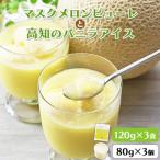 ピューレ メロンピューレ バニラアイスクリーム