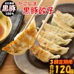 BS-819 かごしま黒豚餃子 合計120個