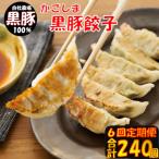 ES-503 かごしま黒豚餃子 合計240個