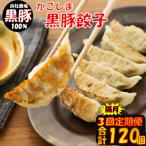 ふるさと納税 薩摩川内市 【隔月3回定期便】かごしま黒豚餃子 合計120個 BS-819