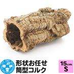 形状お任せ 筒型コルク 長さ15cm エアプランツ