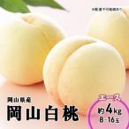 ふるさと納税 瀬戸内市 【2026年先行受付】岡山白桃 エース 8〜16玉 4.0kg 岡山県産[No.5735-1988]