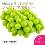 ぶどう 2026年 船穂産 赤秀品以上 葡萄