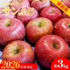No.2064 りんご サンふじ 約3kg
