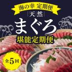 厳選天然マグロ堪能定期便