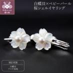 白蝶貝×ベビーパール 桜シェルイヤリング