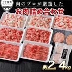 ふるさと納税 上士幌町 ニークファクトリーの牛・豚・ハンバーグ2種のファミリーセット 約2.4kg 北海道産 詰め合わせ