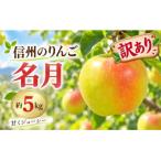 信州のりんご 名月 訳あり 約5kg