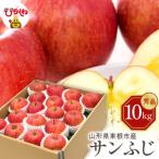 りんご サンふじ 10kg