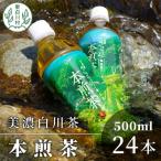 東 山の希少茶 美濃白川茶 本煎茶ペットボトル 24本