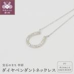 プラチナ 0.3ctダイヤモンド ペンダントネックレス