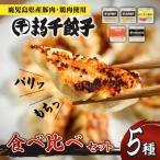 ふるさと納税 鹿児島市 まる千餃子 食べ比べセット K067-003