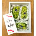 ふるさと納税 上山市 シャインマスカット 3房 合計1.8kg 特秀品・化粧箱入り 0047-2510