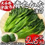 自家農園栽培 青たかな漬 2.5kg