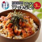 a16-121 焼津銀鮮 うなぎのひつまぶしセット 3人前