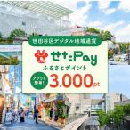 fu.... налог Setagaya район Setagaya район регион ограничение через .[....Pay].... отметка 3,000pt(1pt=1 иен )