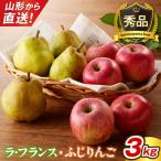 訳あり ご りんご 葉とらずサンふじ 3kg