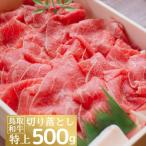 鳥取和牛特上切り落とし 500g