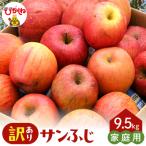 りんご 2026年産 訳あり サンふじ満杯詰 約9.5kg