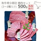 鳥取和牛希少部位焼肉セット 計500g