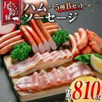 fu.... налог Miyazaki префектура [PREMIUM PORK] хвост колокольчик свинья ветчина сосиски набор всего 810g 5 вид B комплект 