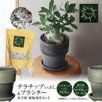 三河焼 植木鉢 ダークシルバー プランター