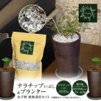 三河焼植木鉢ハーモニーブラウン 植物栽培セット
