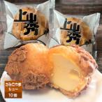 ふるさと納税 上山市 かみのやまシュー 10個 0048-2505