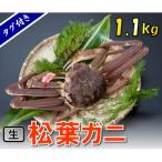 タグ付き生松葉ガニ 特特大1 100g