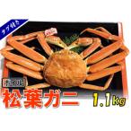 タグ付きボイル松葉ガニ 特特大1 100g