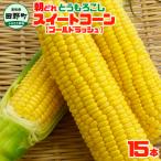 ★2026年6月中旬頃より発送予定★スイートコーン