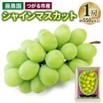 シャインマスカット 1房 桐箱入り 約800g