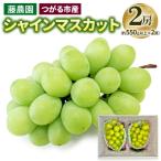 シャインマスカット 2房 約550g以上×2房