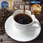 自家焙煎コーヒー豆 100g×6ヵ月