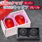 ふるさと納税 宮崎県 