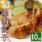 衝撃一品 御料理はし本 湯葉餃子 計10個