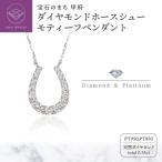 Pt950 850 ダイヤモンドホースシューモティーフペンダント