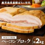 無塩せき乾塩ベーコンブロック 計約2kg
