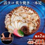 活タコ 炙り焼き 一本足 定期便 隔月 2回 タコ
