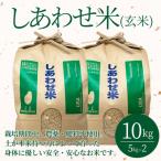 しあわせ米 精米 10kg