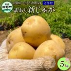 ふるさと納税 田野町 ★先行受付:2026年5月発送開始★大野台地で採れた令和8年産新じゃがいも『とうや』5kg訳あり品