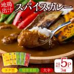 大分地鶏豊のしゃも地鶏出汁スパイスカレー5個 180g×5