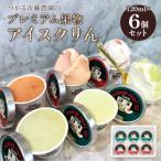 藤農園のプレミアム果物アイスクリん 120ml×6個セット
