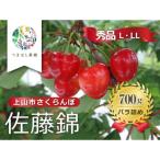 ふるさと納税 上山市 さくらんぼ(佐藤錦)700g(350g×2パック)L〜2L 0140-2502