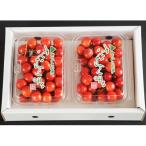 ふるさと納税 上山市 さくらんぼ(品種おまかせ)700g(350g×2パック)フードパック入り 0020-2510